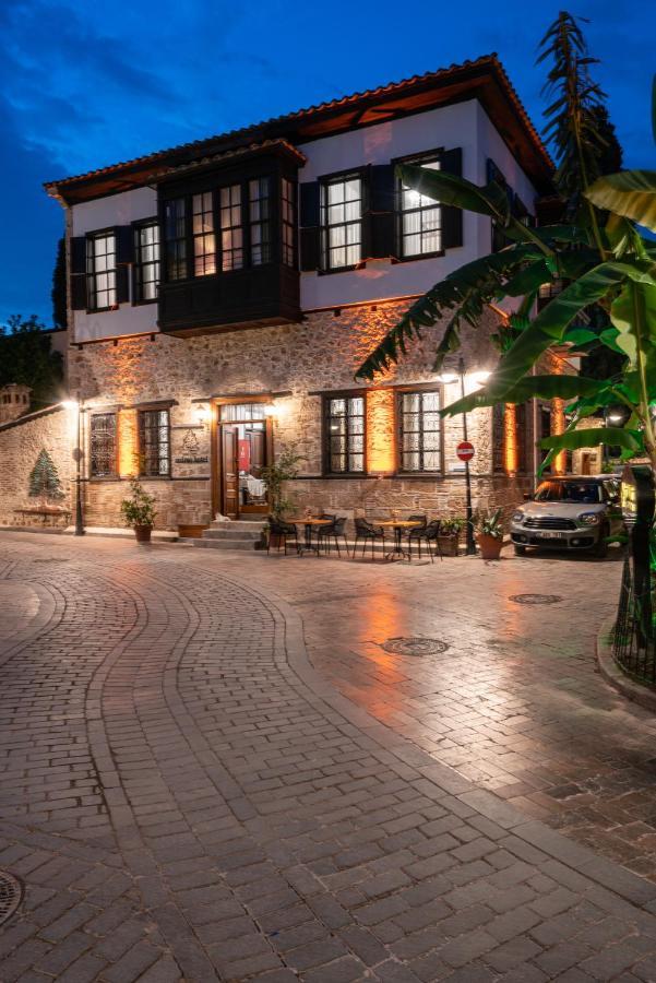 Cedrus Hotel 3*